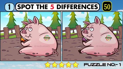 Spot The Difference : Only Genius Find ALL [ Find The Difference #10]