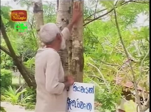 1009 කෝපි කඩේ ටෙලි නාට්‍යයේ කතාංගය KopiKade ep 1009