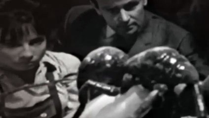 Doctor Who Season 2 Episode 1 Planet Of Giants Pt 1