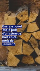 Energie : quel est le prix d’un stère de bois en ce mois de janvier ?