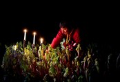 Yorkshire's Rhubarb Triangle: Robert Tomlinson talks about harvesting his forced rhubarb grown in Pudsey