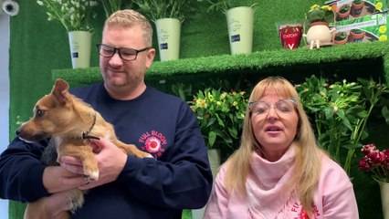 New Florist on Hayling Island