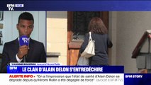 Affaire Delon: 