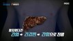 [HOT] What role does the liver play in our bodies?, MBC 다큐프라임 231231