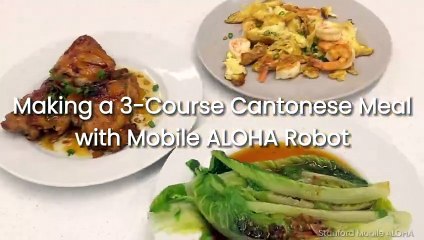 MobileAloha Robot