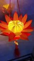 let’s make beautiful handmade lotus lanterns with your