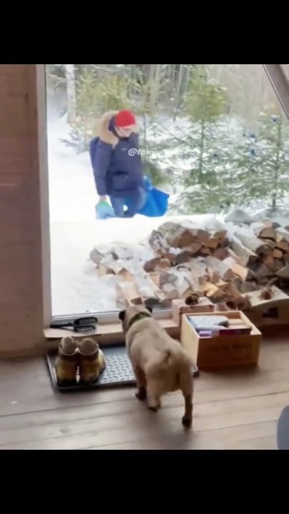 The Funniest Fails and Bloopers (Try Not to Laugh Challenge) part-28 #funnyvideos #viral