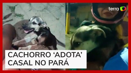 Cachorro corre atrás de moto e ‘adota’ casal no Pará