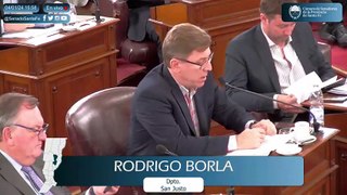 Senador Borla sobre empréstito con la Agencia Francesa de Desarrollo