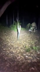 Mãe e filho são resgatados após se perderem em trilha de Florianópolis