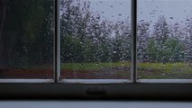 Rain on Window - Sleep Sounds Rain - 1 hour Rain ASMR