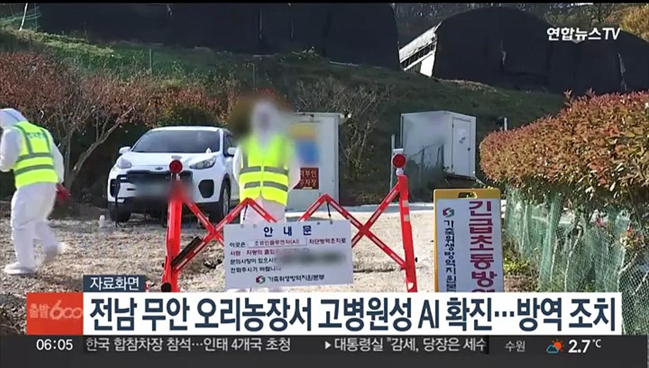 전남 무안 오리농장서 고병원성 AI 확진…방역 조치
