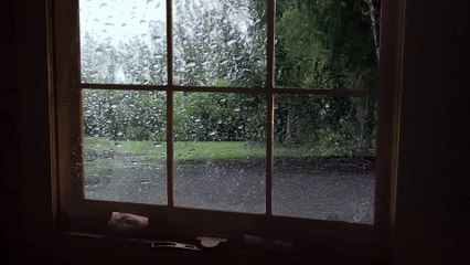 Relaxing 1-Hour Rain Sounds for Better Sleep 🌧️