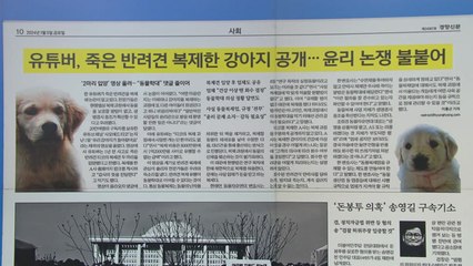 [굿모닝브리핑] "죽은 반려견 복제해 입양" 공개하자 윤리 논쟁 불붙어 / YTN
