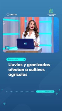 Lluvias y granizadas afectan a cultivos agrícolas