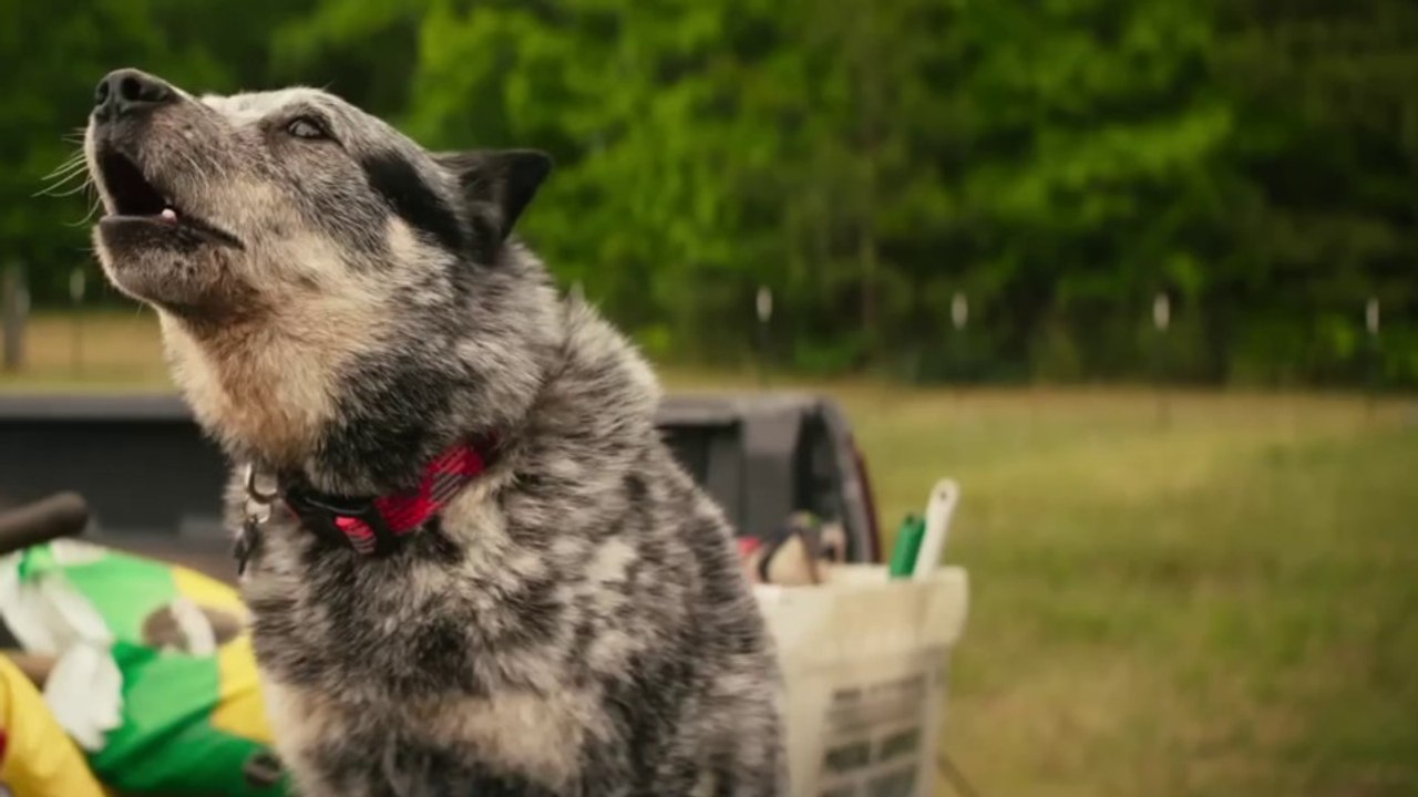 Kurz vor dem Start von Echo zeigt ein neuer Trailer: In der Marvel-Serie geht's ans Eingemachte!