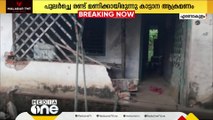 അതിരപ്പിള്ളിയിൽ കാട്ടാന ആക്രമണം; തോട്ടം തൊഴിലാളിയുടെ വീട് തകർത്തു