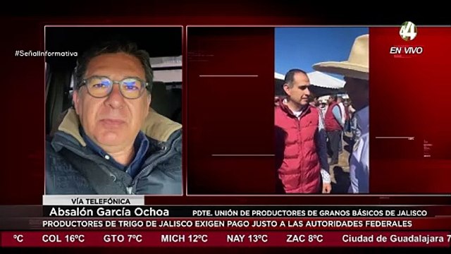 Productores de Trigo de Jalisco exigen pago justo a las autoridades federales