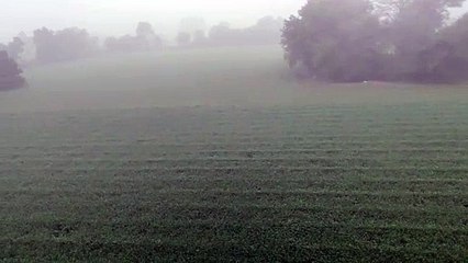 कोहरे से कोहराम, तेज सर्दी से कांपे लोग