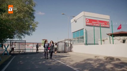 52. Huerfanas (Kirgin Cicekler), en español