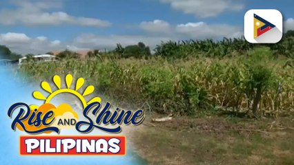 P30.8-B na dagdag na pondo, inilaan sa D.A. para suportahan ang magsasaka sa posibleng epekto ng...