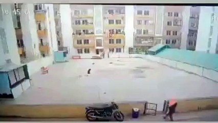 कुत्तों के हमले का खौफनाक वीडियो, महिला को चिल्लाते देख डर जाएंगे आप