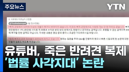 "우리 강아지가 돌아왔어요"...'법률 사각지대' 동물복제 논란 [앵커리포트] / YTN