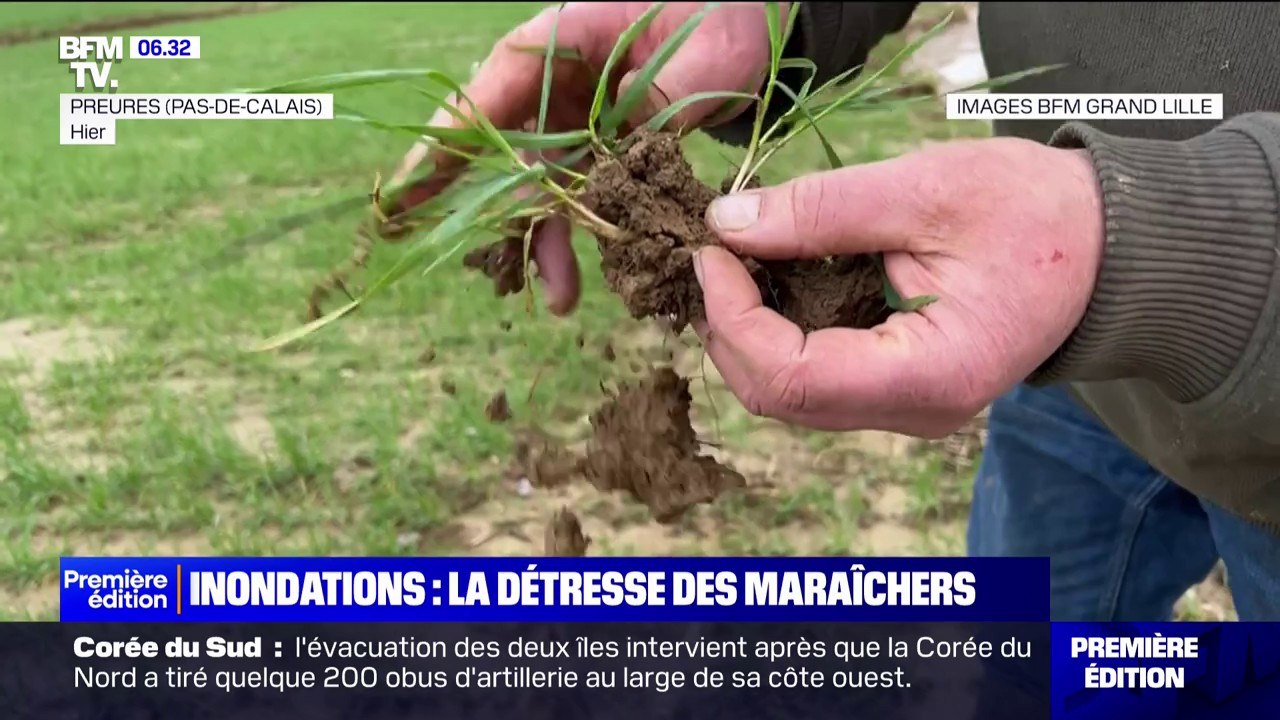 Inondations dans le Pas-de-Calais: les maraîchers déplorent de lourdes pertes