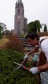 Gardening gone wrong Zach king magical entertainment shorts videos on dailymotion.