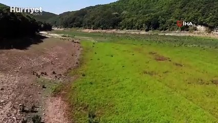 İstanbul’un su ihtiyacını karşılayan barajlar doluyor