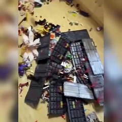 Yeğeni 35 bin dolarlık koleksiyonu paramparça etti! Tazminat davası açtı…