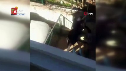 Ev sahibi ile kiracı kavga etti, 4 yaşındaki kız tüm yaşananlara şahit oldu