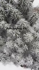 Crafting a Narrative: Where Whispers Unite