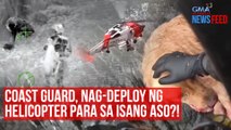 Coast guard, nag-deploy ng helicopter para sa isang aso?!  | GMA Integrated Newsfeed