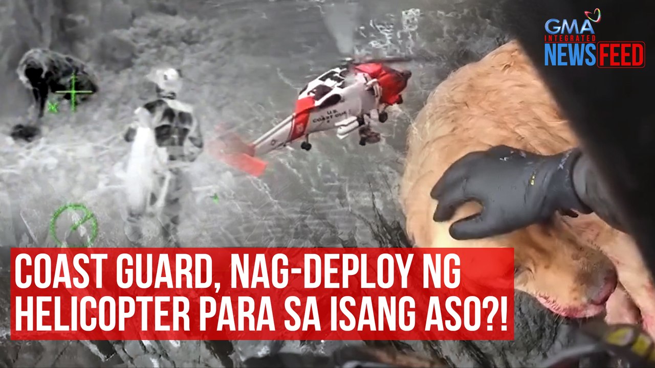 Coast guard, nag-deploy ng helicopter para sa isang aso?!  | GMA Integrated Newsfeed
