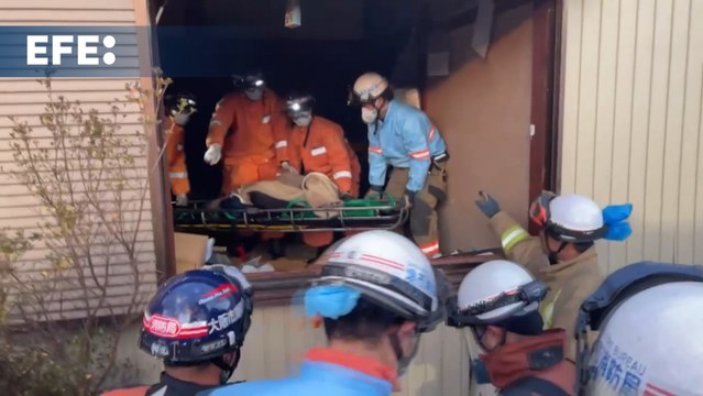 Un perro rescatista salva a una anciana en Japón 72 horas después del terremoto