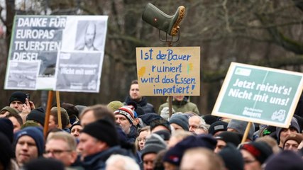 Almanya’da çiftçiler Ekonomi Bakanı'nın feribottan inmesine izin vermedi