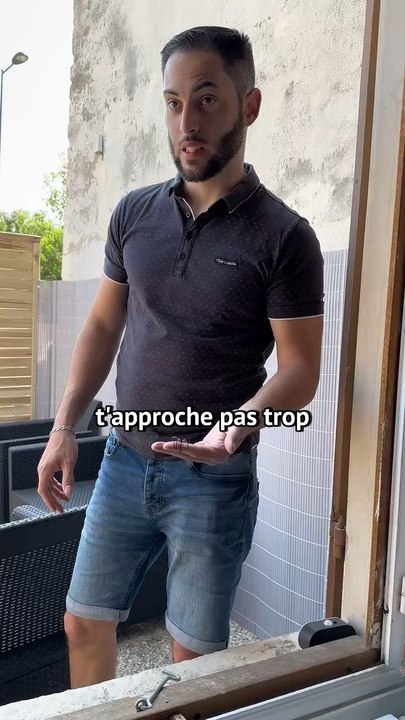 Fini les araignées dans la maison 