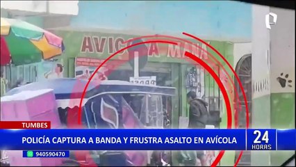 Tumbes: PNP frustra asalto a avícola y captura a banda criminal 'Los polleros'