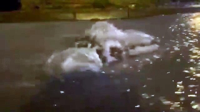 Watch as 'huge amounts of water' flow from South Downs in West Sussex