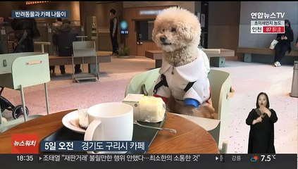'반려동물 동반' 카페까지 등장…급성장하는 펫산업