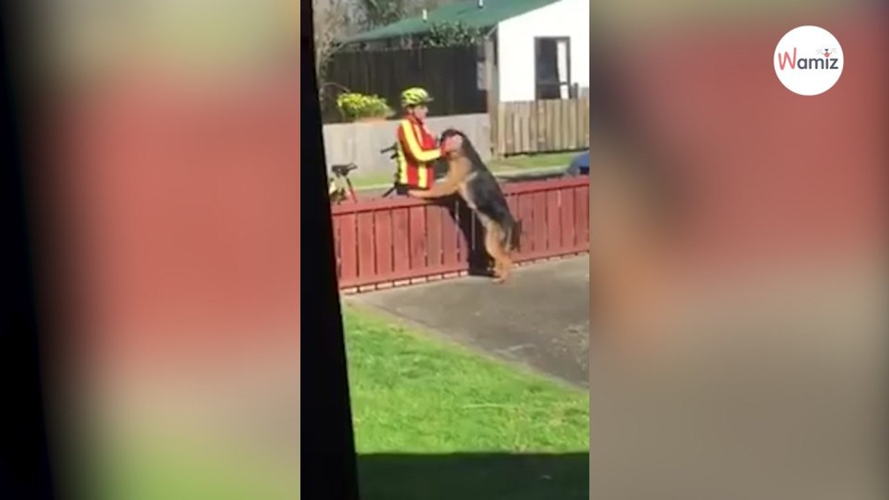 Briefträger heimlich gefilmt: Video mit Schäferhund verbreitet sich in Windeseile!