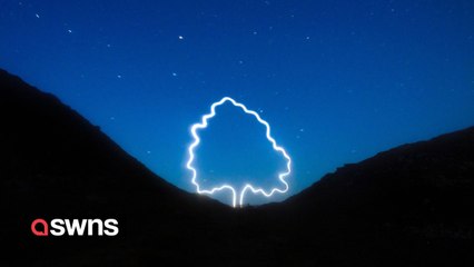 Artist recreated felled Sycamore Gap as a 'tree of light' as symbol of hope for the New Year