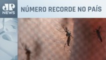 Brasil registrou mais de mil mortes por dengue em 2023