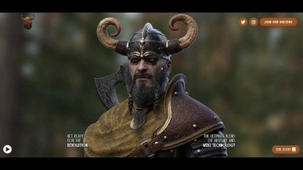 Homo Novus Portfolio - Wild Wikings