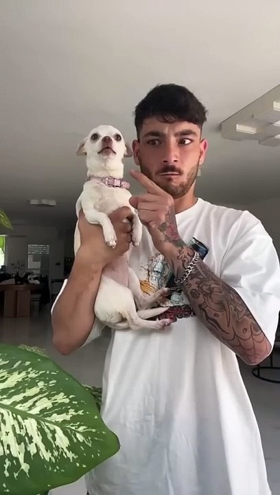stitch con mreviatar mino is a dog very dangerous