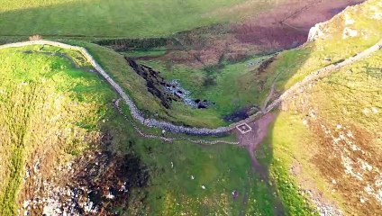 Artist recreates felled Sycamore Gap as 'tree of light'