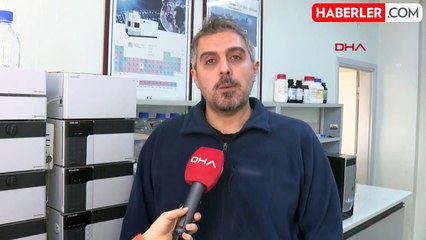 İskenderun'da Balon Balığı Zehirlenmesi: Akdeniz'in En Zehirlisi