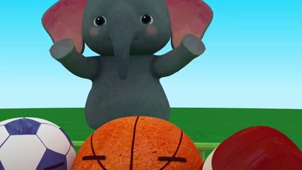 Sports Ball Song _ CoComelon Nursery Rhymes _ Kids Songs