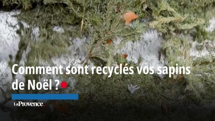 À Marseille, comment sont recyclés vos sapins ?